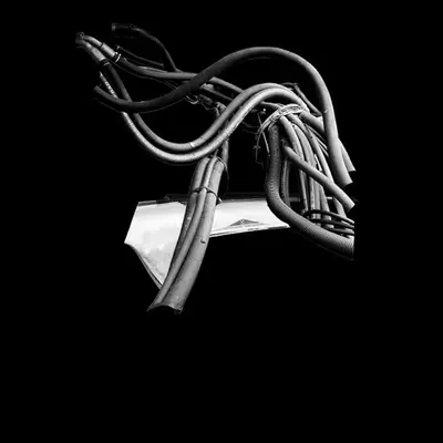 C2ASH #34