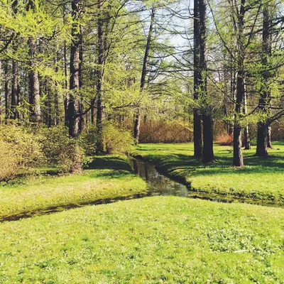Touch the grass