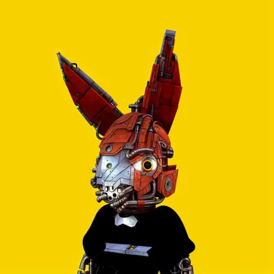 X-Rabbit #8