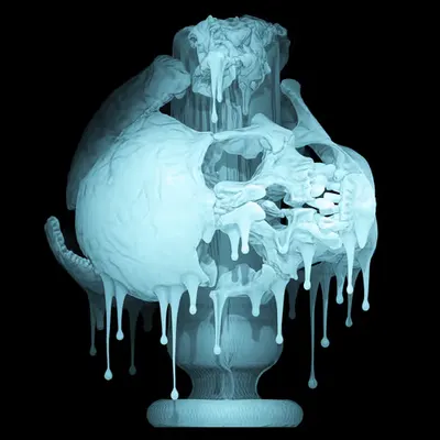 Skin Hodlr #10 (X-ray)