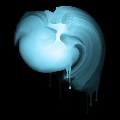 Skin Hodlr #02 (X-ray)