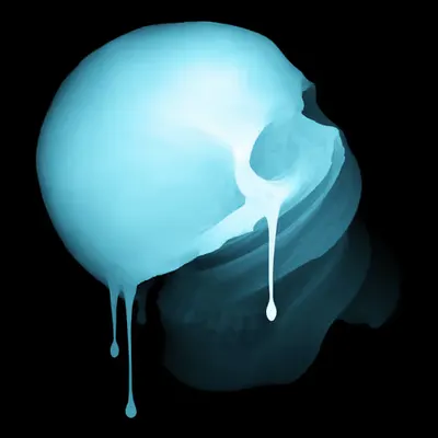 Skin Hodlr #03 (X-ray)