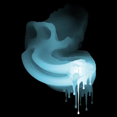 Skin Hodlr #04 (X-ray)