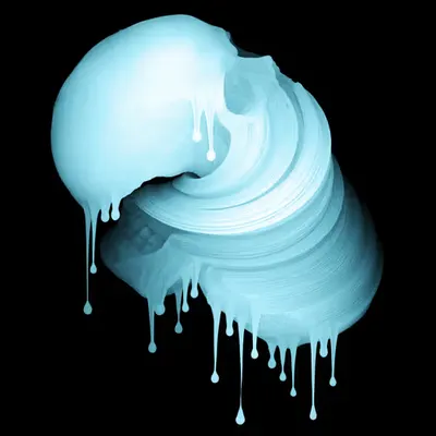 Skin Hodlr #05 (X-ray)
