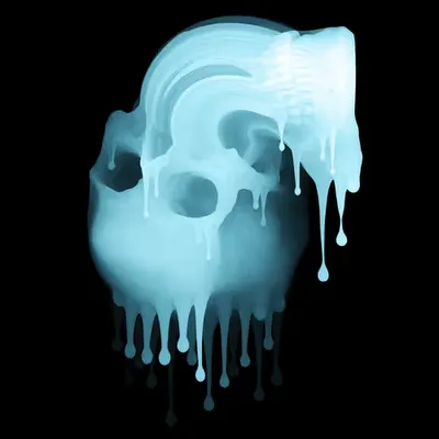 Skin Hodlr #06 (X-ray)