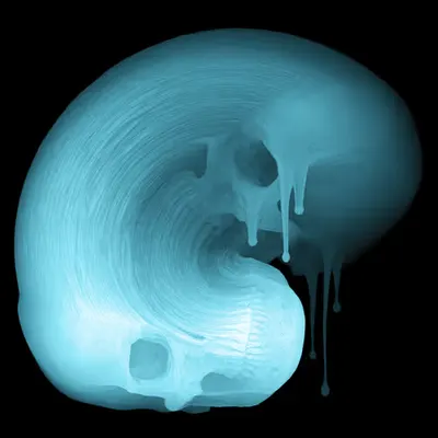 Skin Hodlr #07 (X-ray)