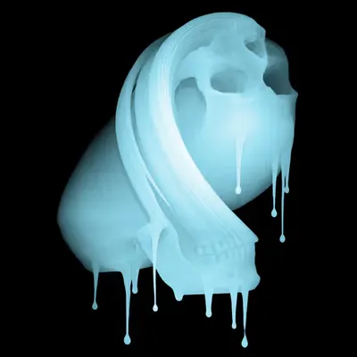 Skin Hodlr #08 (X-ray)