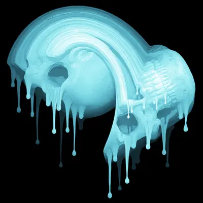 Skin Hodlr #09 (X-ray)