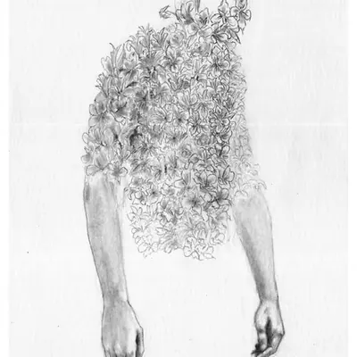 the flowers