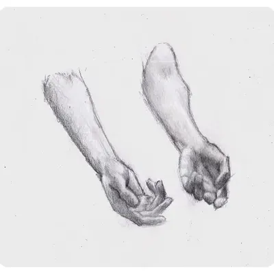 arm sketch