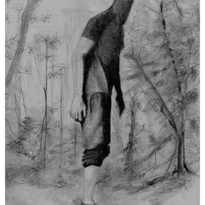 in the forest sketch