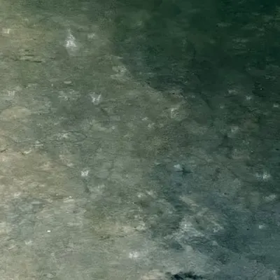 ☯️