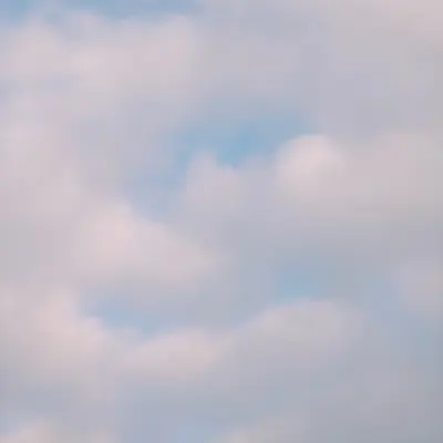 Ξ