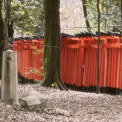 ⛩️⛩️⛩️⛩️⛩️⛩️⛩️⛩️⛩️⛩️⛩️⛩️⛩️⛩️⛩️⛩️⛩️⛩️⛩️⛩️