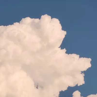 cotton cloud • 1