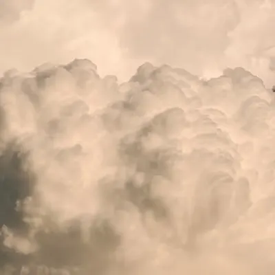 cotton cloud • 2