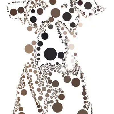 Doggo #1