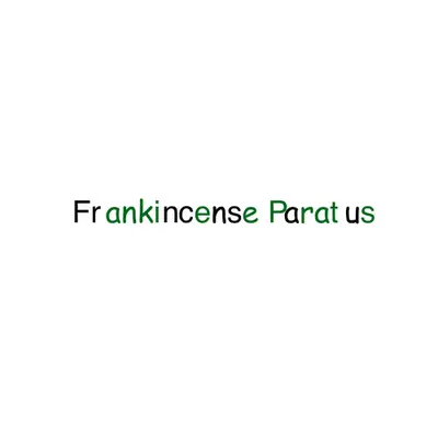 FP x FP #3