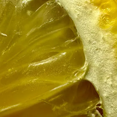 lemonfour