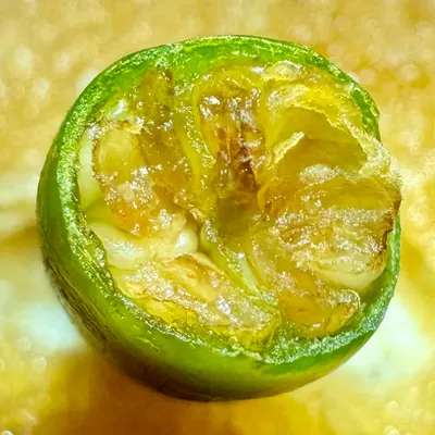 oxidationtwo