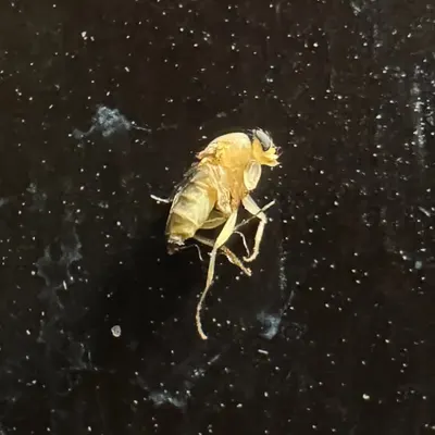fly outer space