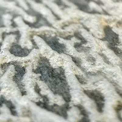 wet tissue