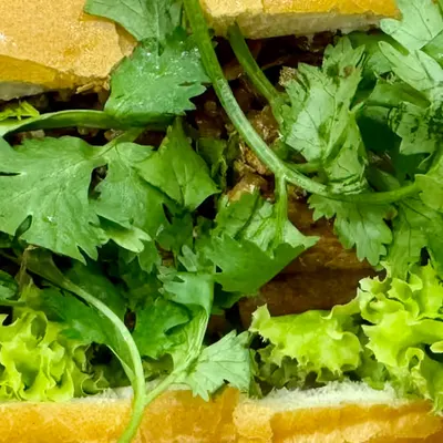 cilantro allllllll day