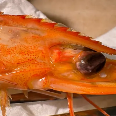 prawn head