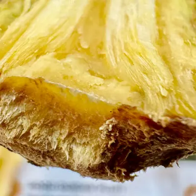 bawor durian stem