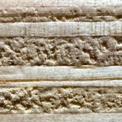 plywood