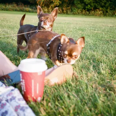 Summer time with friends