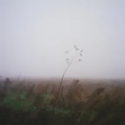 Blurred vision
