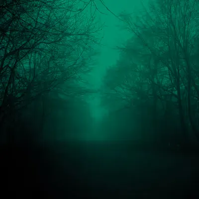 Long winter walks through the fog