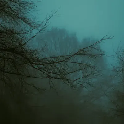 Empty branches