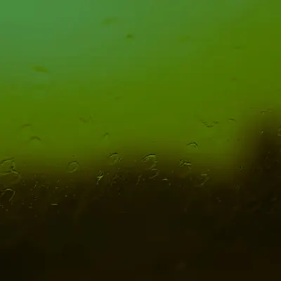 raindrops
