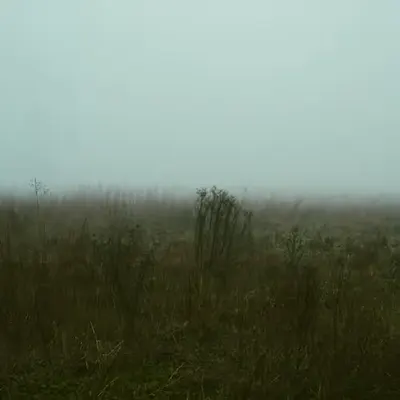 Emptiness