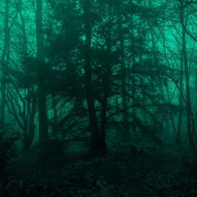 Welcome to my horror movie