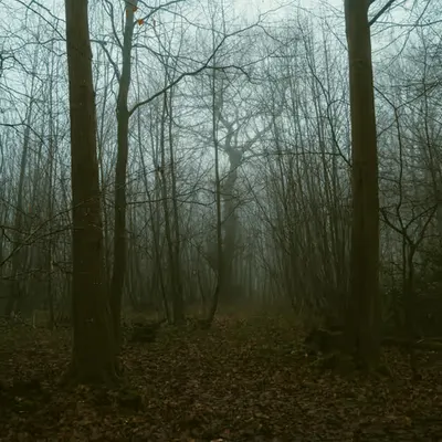 Cold January