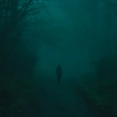 The lonely path
