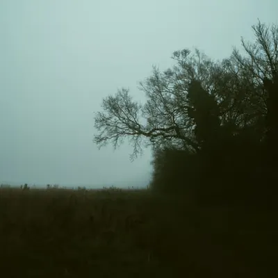 Cold morning walks