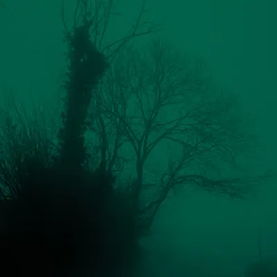 Late night drives in the fog