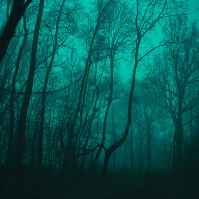 Darkness