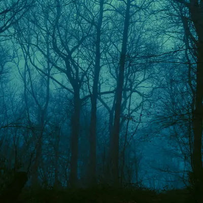Blue vision