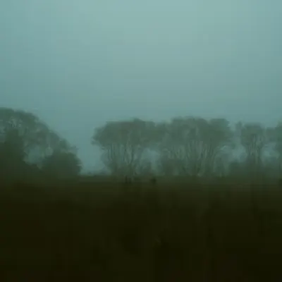 fog