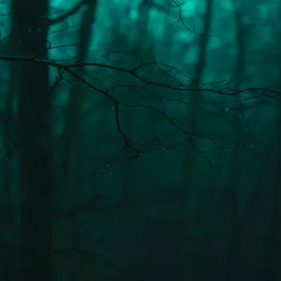 Little raindrops
