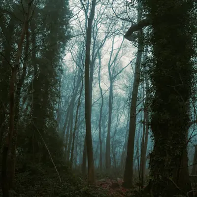 Lost