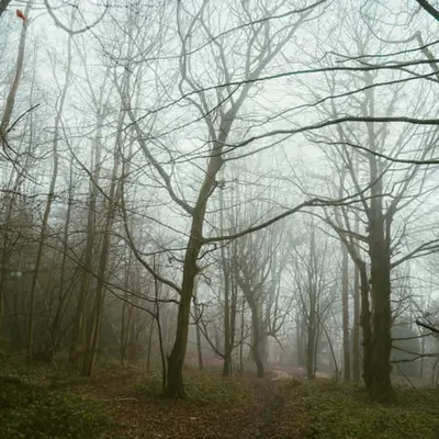 Hazy days