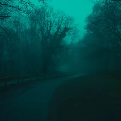Follow the road