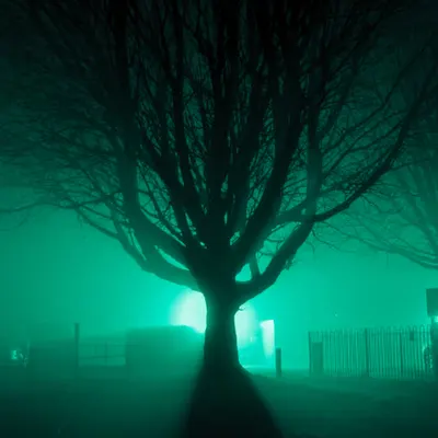 Playing with the darkness