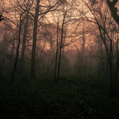 A sense of calmness